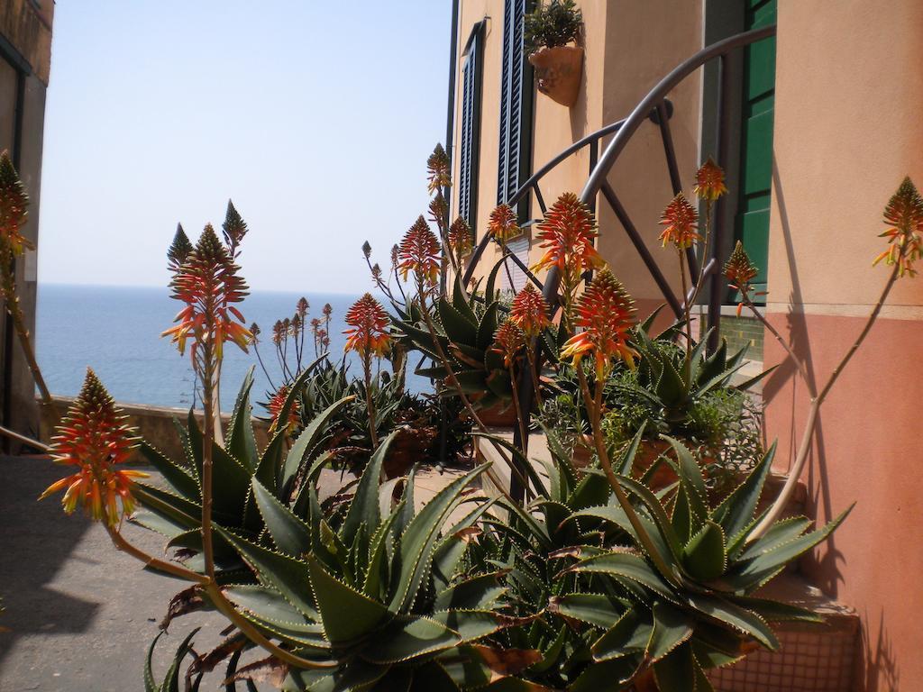 Arcipelago Toscano B&B Piombino Exteriör bild